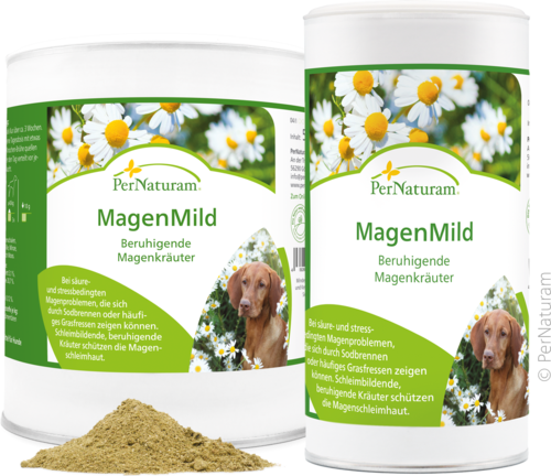 MagenMild (Hund)